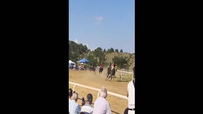 At yarışlarında dehşet anları: Çarpışan atlar öldü haberinin görseli