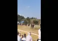 At yarışlarında dehşet anları: Çarpışan atlar öldü