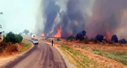 Edirne'de anız yangını: Ormana sıçradı