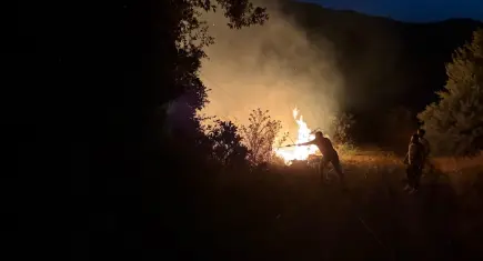 İzmir haber: Ödemiş'te makilik alanda yangın! 1 hektarlık alan zarar gördü