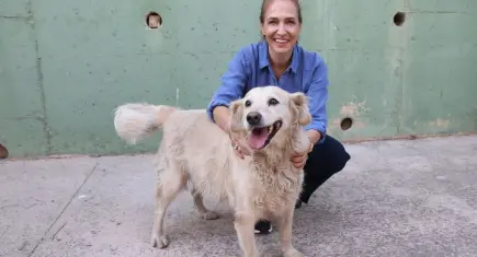 Karşıyaka’da 282 köpek yuva bekliyor