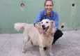 Karşıyaka’da 282 köpek yuva bekliyor