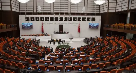 Çerçeve yasa nedir? Çerçeve yasa hangi düzenlemeleri kapsıyor?