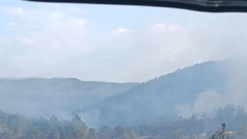 Bolu'da orman yangını haberinin görseli