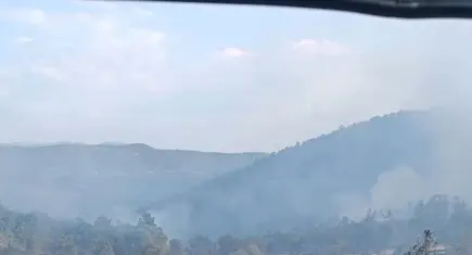 Bolu'da orman yangını