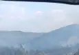 Bolu'da orman yangını