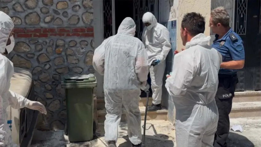 Bursa’da pire istilası: Mahalleli hastanelik oldu, metruk binadan 15 tavuk, 1 kedi ve 2 köpek çıktı haberinin görseli