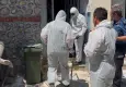 Bursa’da pire istilası: Mahalleli hastanelik oldu, metruk binadan 15 tavuk, 1 kedi ve 2 köpek çıktı