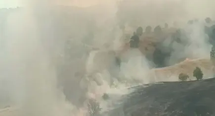 Malatya'da orman yangını: Ekipler alarmda!
