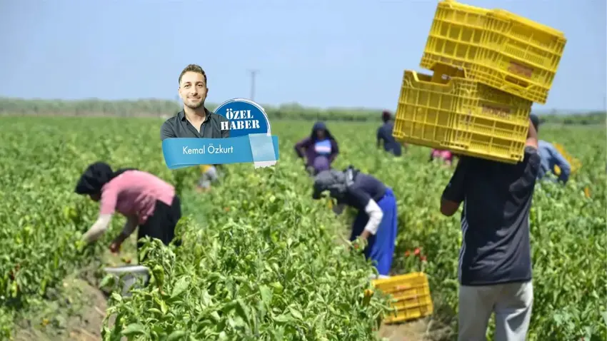 Toprağın efendisi kendi tarlasında maraba haberinin görseli