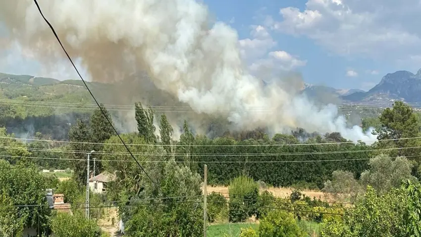 Muğla'da orman yangını: Kontrol altına alındı