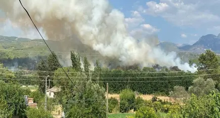 Muğla'da orman yangını: Kontrol altına alındı