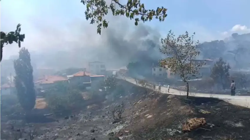 Balıkesir Edremit’te orman yangını: Alevler Kaz Dağları'na ilerliyor, evler tahliye edildi! haberinin görseli