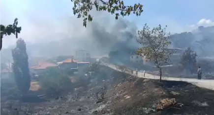 Balıkesir Edremit’te orman yangını: Alevler Kaz Dağları'na ilerliyor, evler tahliye edildi!