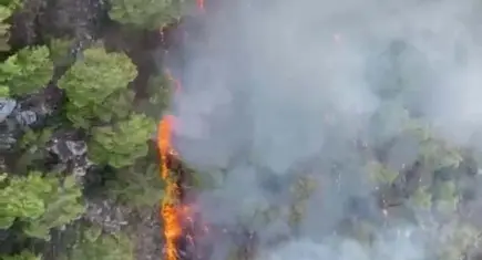 Kemer'de orman yangını