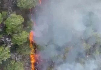 Kemer'de orman yangını