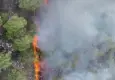 Kemer'de orman yangını