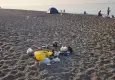 Kumköy Sahilinde çöp, çadır ve otomobil istilası: Carettaların yuvalarını yok ettiler!