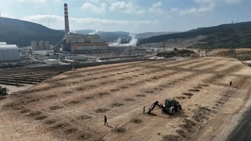 Termik santralin 90 derecelik atık suyuyla sera ısıtılacak haberinin görseli