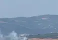 Bursa’da anız yangını