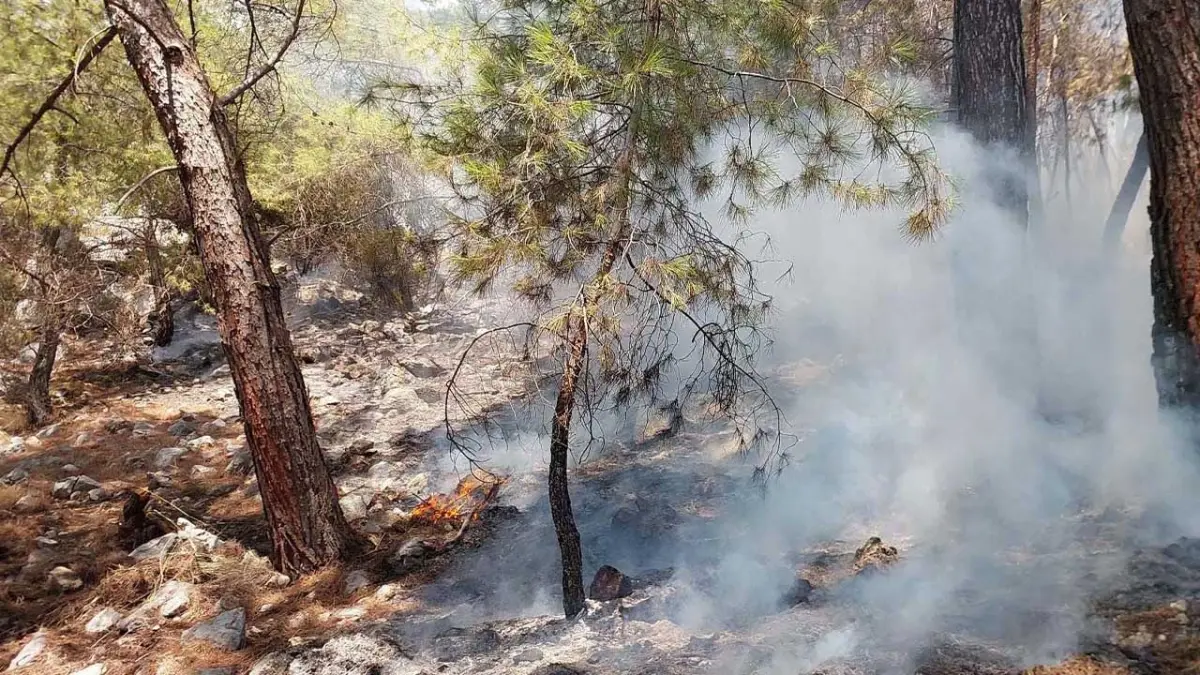 Antalya'da orman yangını görseli