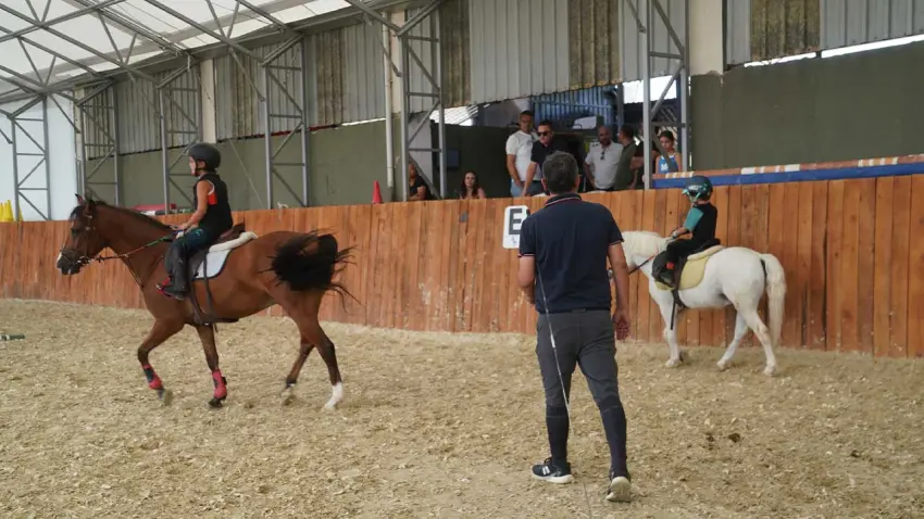 PONY