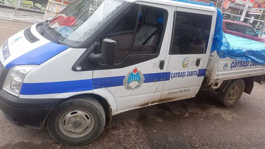 Ordu’da komşu ilçeler arasında sokak hayvanı gerilimi haberinin görseli