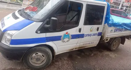 Ordu’da komşu ilçeler arasında sokak hayvanı gerilimi