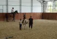 Seferihisar’da Pony Biniciliğine Yeni Merkez: Hedef Milli Takıma Sporcu Yetiştirmek