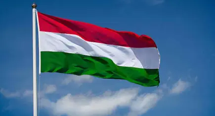 Macaristan'da yolcu otobüsü şarampole devrildi: 12 ölü