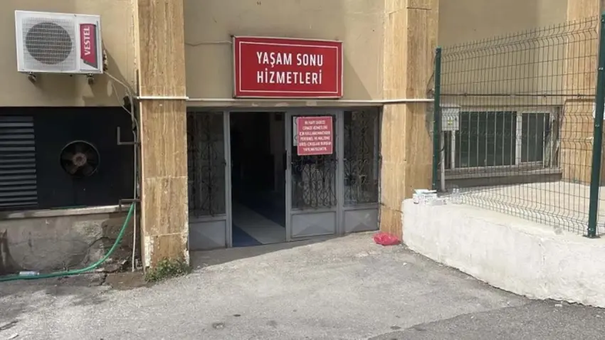 Sivas'ta kene bir can daha aldı haberinin görseli