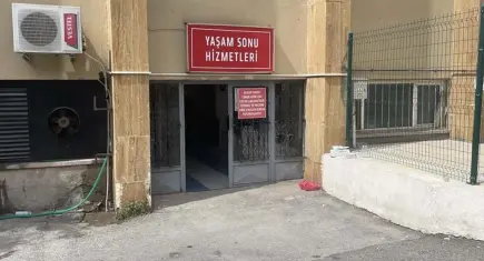 Sivas'ta kene bir can daha aldı