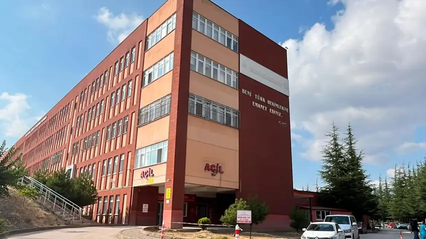 AK Parti Grup Başkanvekili Leyla Şahin Usta trafik kazasında yaralandı haberinin görseli