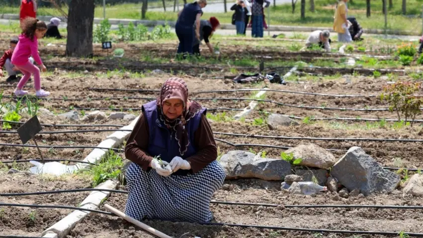 İzmir’de mahalle bostanlarında yaz bereketi: Kadınlar hem üretiyor hem kazanıyor haberinin görseli