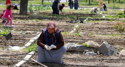 İzmir’de mahalle bostanlarında yaz bereketi: Kadınlar hem üretiyor hem kazanıyor