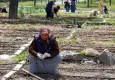 İzmir’de mahalle bostanlarında yaz bereketi: Kadınlar hem üretiyor hem kazanıyor