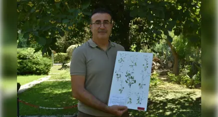 Latmos'ta yeni bitki türü keşfedildi: Nesli tehlike altında