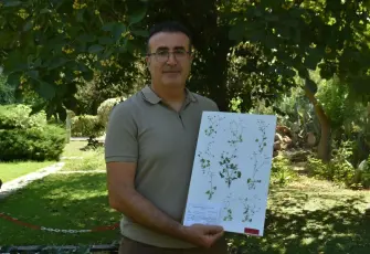 Latmos'ta yeni bitki türü keşfedildi: Nesli tehlike altında