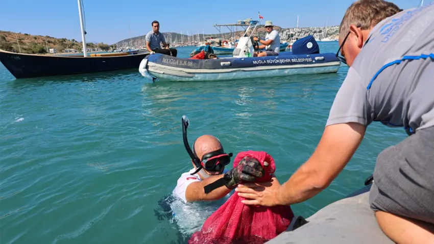 bodrum