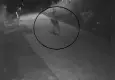 Sivas'ta çöp dökmeye çıkan kadın, 4 kurtla karşılaştı