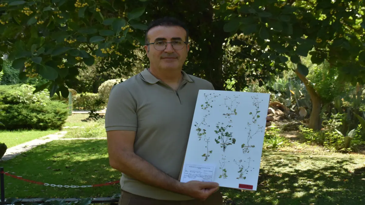 Yeni keşfedilen 'Latmos Taşkıranı' tehlike altında görseli