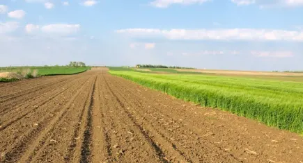 56 bin dekarlık arazi suya kavuşuyor