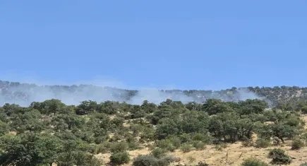 Konya'da orman yangını!