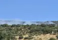 Konya'da orman yangını!