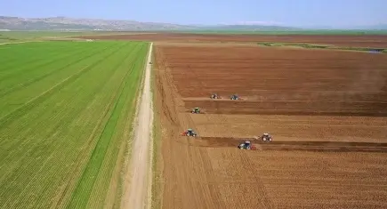 Tarımsal girdi fiyatlarında yıllık artış yüzde 32,06 oldu