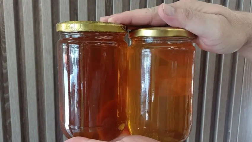 Aksaray'dan Avrupa ve Asya'ya dev bal ihracatı haberinin görseli