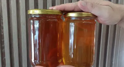 Aksaray'dan Avrupa ve Asya'ya dev bal ihracatı