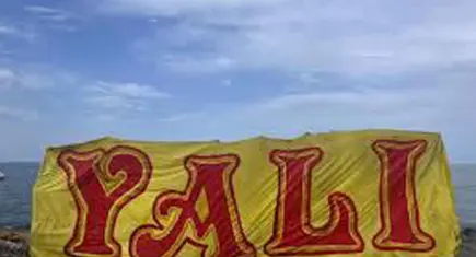 İzmir’de Forza ve Yalı'ya operasyon: 28 gözaltı
