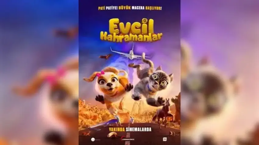 evcil