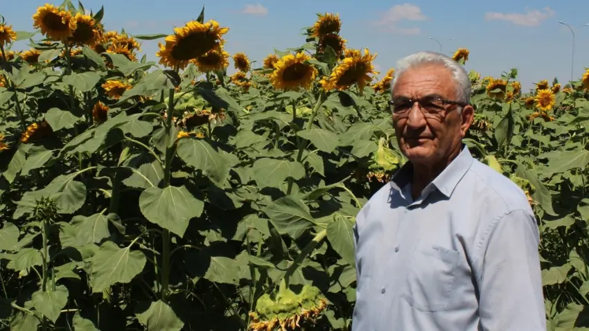 refik içli